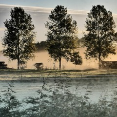 Fields Of Mist