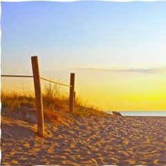 LES PIEDS SUR LE SABLE CHAUD DU MEDOC 2024 DE PASCALOU