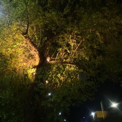 سليـمة مُراد _هذا مو انصاف منك..