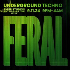 FERAL PROMO MIX