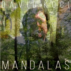 David Koci 01 Sentimental Dream (LIVE)