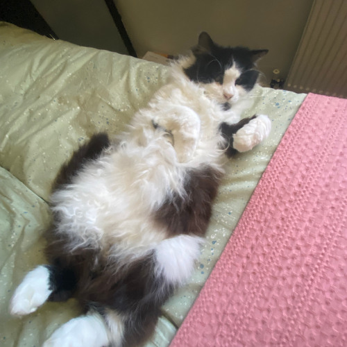 She