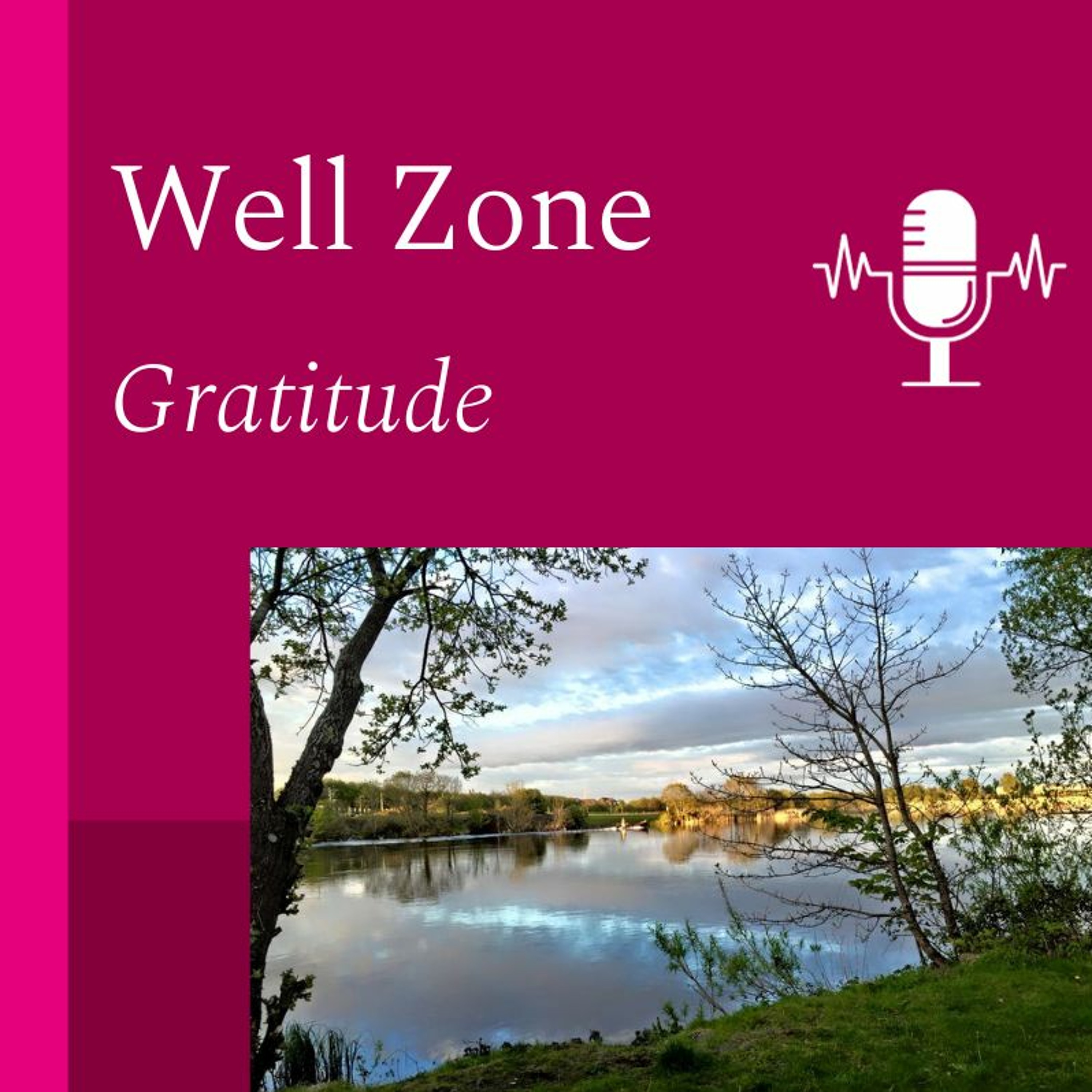 Well Zone - Gratitude episode artwork