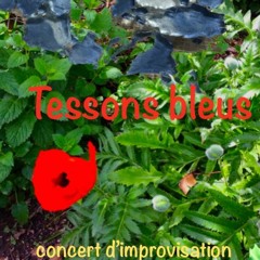 Tessons Bleus 3 Fevrier 1