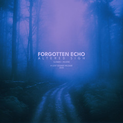 forgotten echo (slowed + reverb)