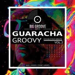 BIG GROOVE SAMPLES - GUARACHA GROOVY V.2 (7 CONSTRUCTION KITS) U$ 18,25