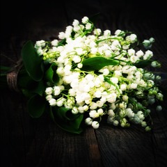 Feduk - Хлопья летят наверх