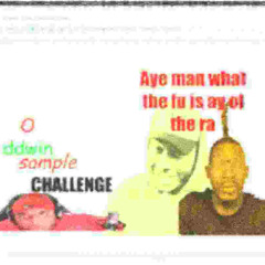 oddwin sample challenge 6