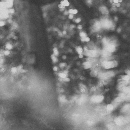 day by day, towards lightness (2021)