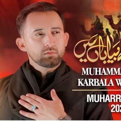 Nohay 2025 | Muhammad Ka Gharana | Ahmed Raza Nasiri