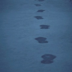 로현 - Footprint (Feat. S.W.)