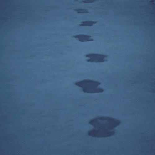 로현 - Footprint (Feat. S.W.)