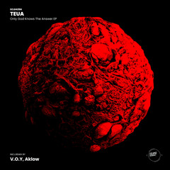 Only God Knows The Answer (V.O.Y Remix)
