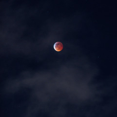 KEEPING MY DREAM ALIVE