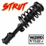 Strut (Radio Edit)