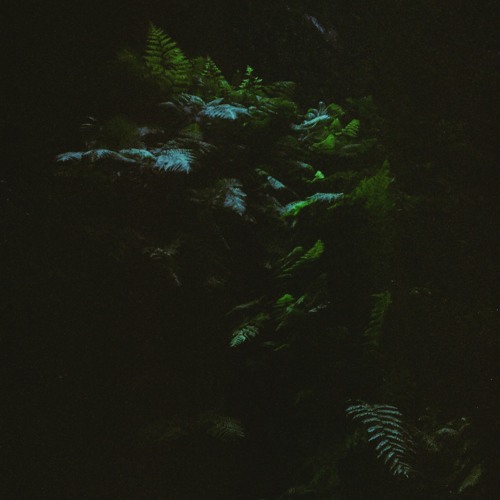 PREMIERE // Mutul - Ramé (Visitor 19 Infinite Submersion Mix)
