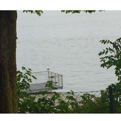 Baby Hyperpoop 3 (flies Everywhere)