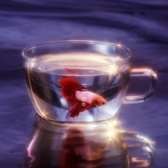 Japanese R&B  Soul  Jazz  Hiphop❣️