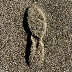 Down With You(feat.CNBA NIC-O,지성찬)(prod. Belluzzo)