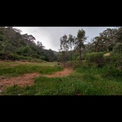 2021.10.28 Gentle Morning Storm Meditation. Spring.
