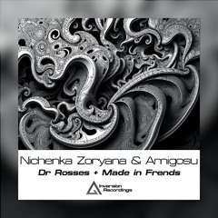 Amigosu & Nichenka Zoryana - Dr Rosses [Free Download]