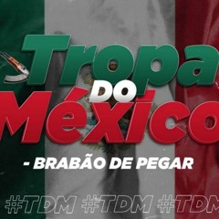 MC TIKINHO - OS PITBULL DO PAIZÃO R9 [ DJ LUCAS DA ZONA SUL ] TERRA DO MÉXICO