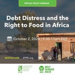 Debt Distress and the Right to Food in Africa