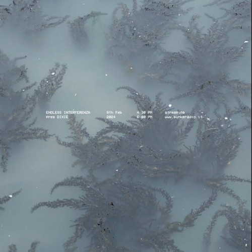 ENDLESS INTERFERENZA 𝑃𝑟𝑒𝑠. Dixie