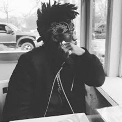 Tha God Fahim - Black Birds (JChan Remix)