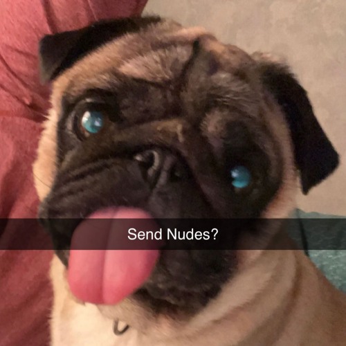 Send Nudes?