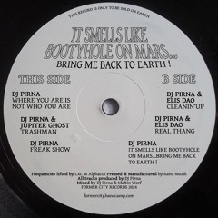 DJ PIRNA-IT SMELLS LIKE BOOTYHOLE ON MARS...BRING ME BACK TO EARTH! [VINYL]