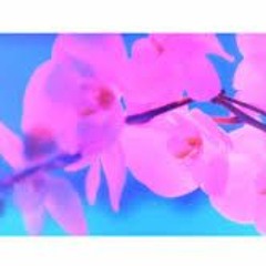 '夢中夢' Chop n Screw