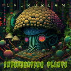 OVERDREAM - INTOXICATING PLANTS