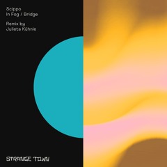 PREMIERE: Scippo - In Fog (Julieta Kühnle Remix) [Strange Town Recordings]