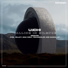 UICHI - Falling In Silence (TECHNICOLOR  Remix)