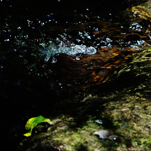 Mélodie  pour une larme