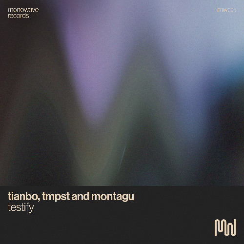 TIANBO, TMPST, Montagu - Testify