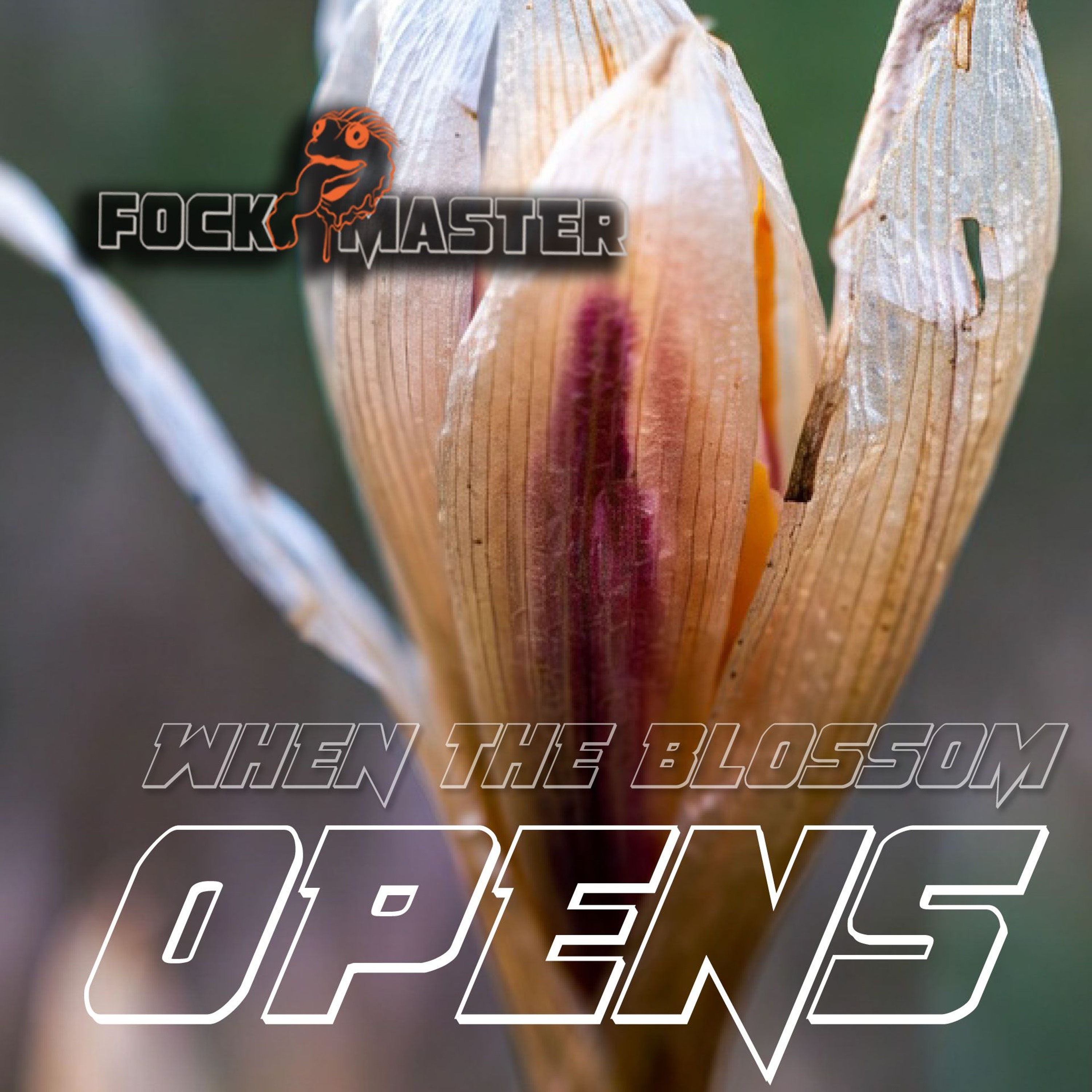 Neues vom Leckfrosch