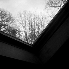 rabbithole001