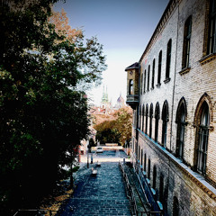 Melodic Autumn Vibes 🍁