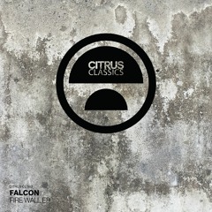 Falcon - The Stand