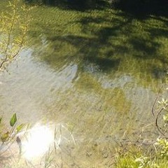 Meditação Lagoa Dourada