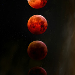 My Universe