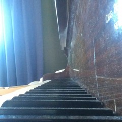 Cosmo Sheldrake - The Moss_ acoustic piano cover by Eric Jenkins