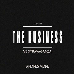 Tiesto - The Bussiness VS Xtravaganza ( Andres More PRIVATE)
