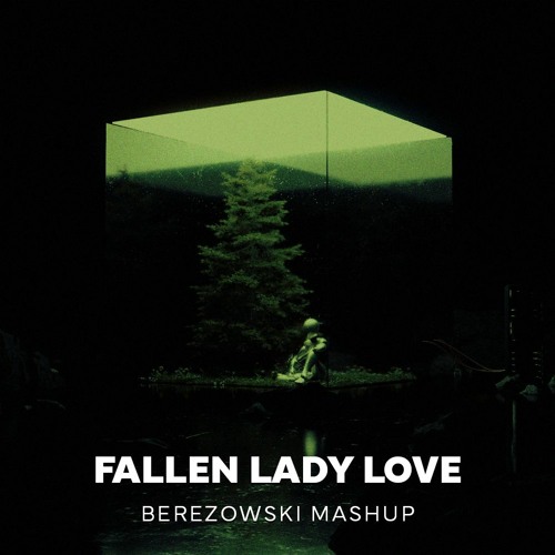Fideles, Vintage Culture, Be No Rain, Oden & Fatzo - Fallen Lady Love [Berezowski Mashup]