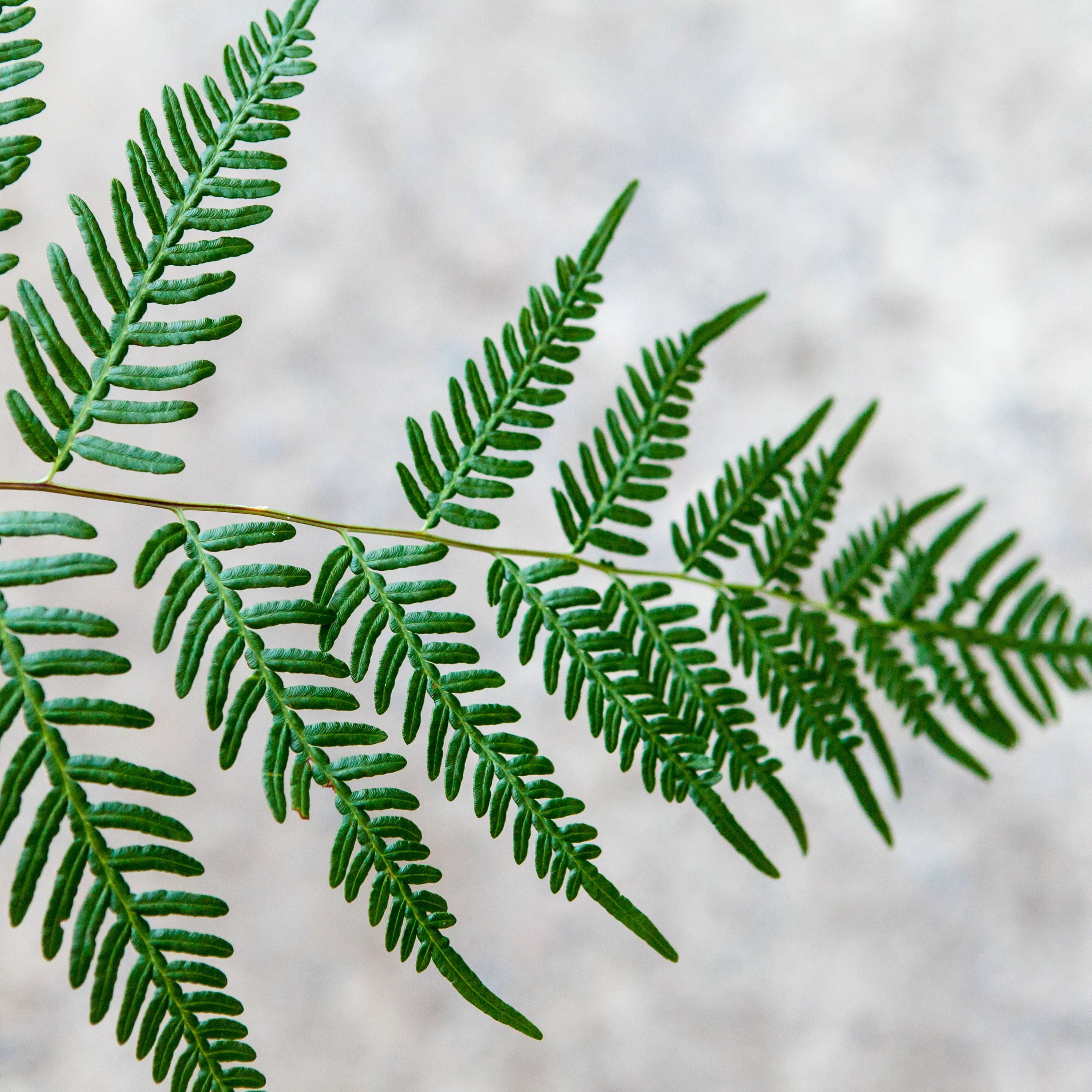 Strength in the Midst of Change
