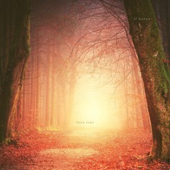 Fairy Trail