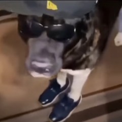 Paul Mall - Bla Bla Bla (DnB Flip)