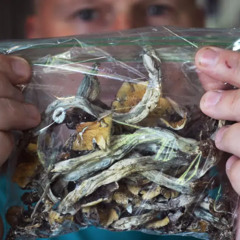 WBAL News Now in Depth State Task Force Recommends Decriminalizing Psychedlics